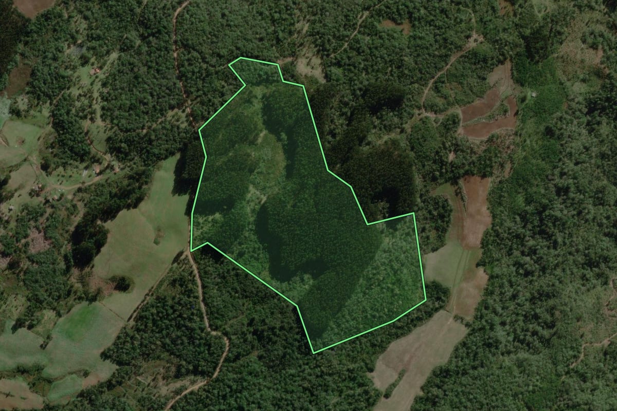 Imagem de satélite do imóvel rural em Canoinhas (SC), com o contorno declarado no CAR desenhado por cima.