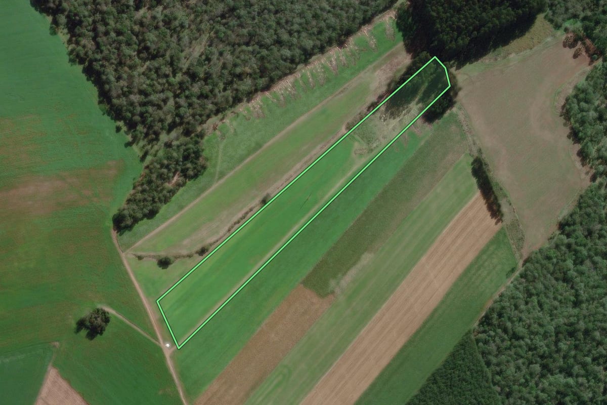 Imagem de satélite do imóvel rural em Canoinhas (SC), com o contorno declarado no CAR desenhado por cima.