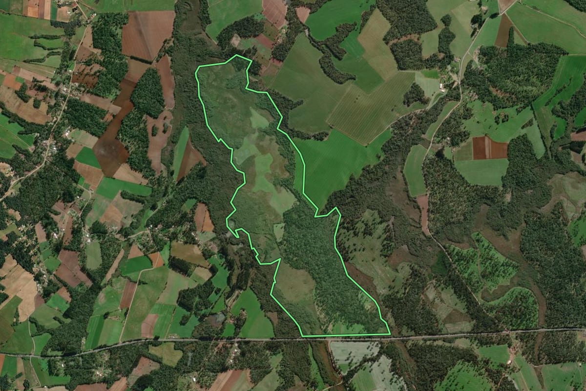 Imagem de satélite do imóvel rural em Canoinhas (SC), com o contorno declarado no CAR desenhado por cima.