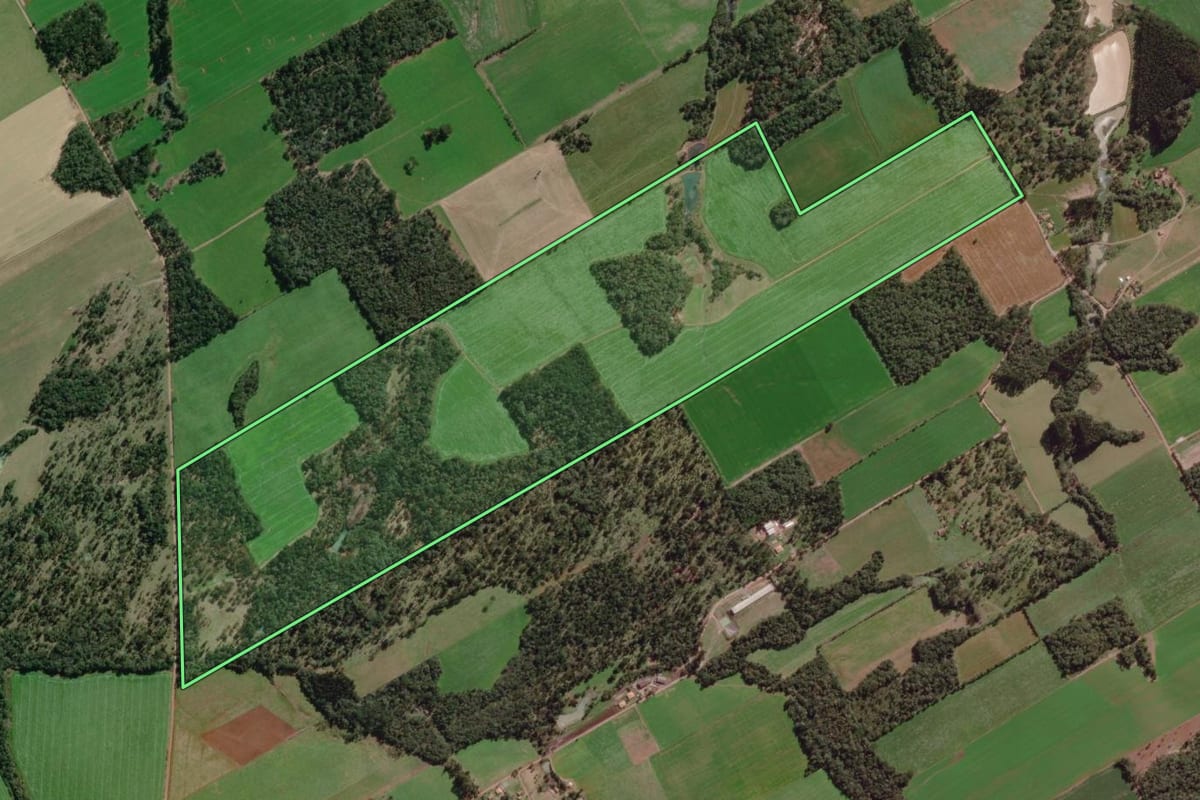 Imagem de satélite do imóvel rural em Canoinhas (SC), com o contorno declarado no CAR desenhado por cima.
