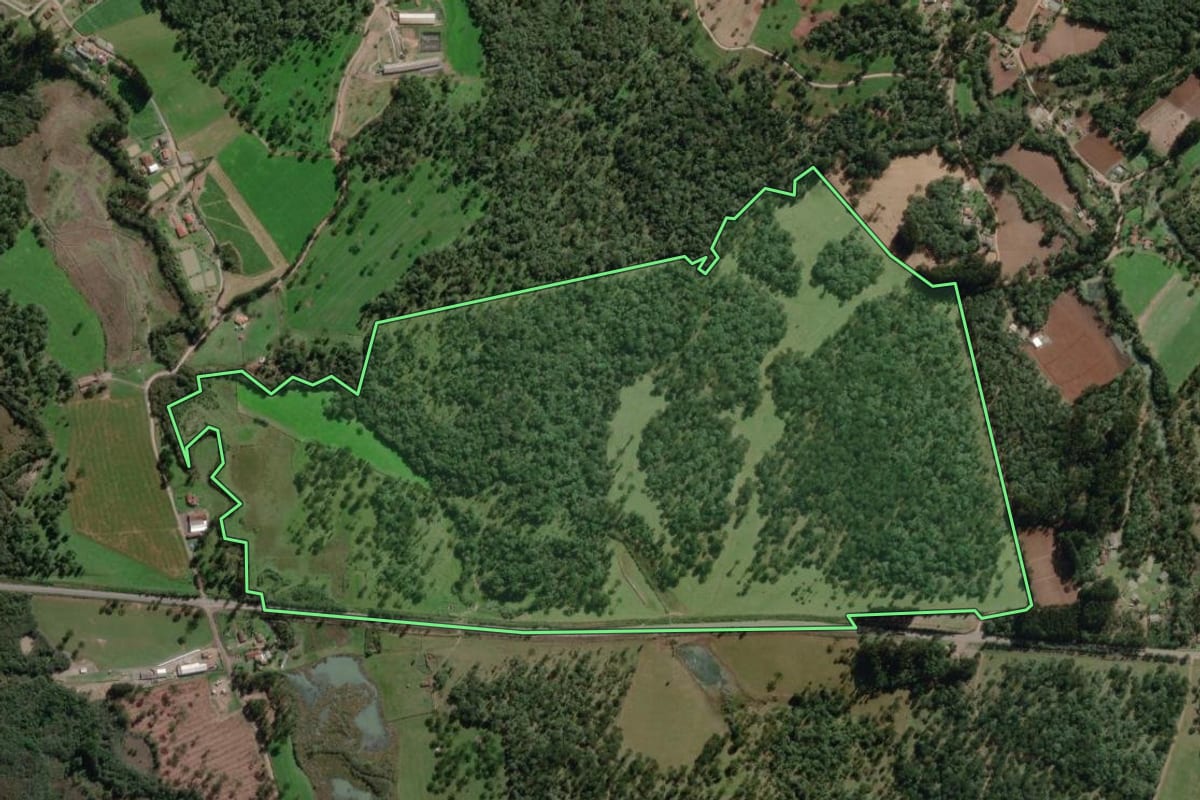 Imagem de satélite do imóvel rural em Canoinhas (SC), com o contorno declarado no CAR desenhado por cima.