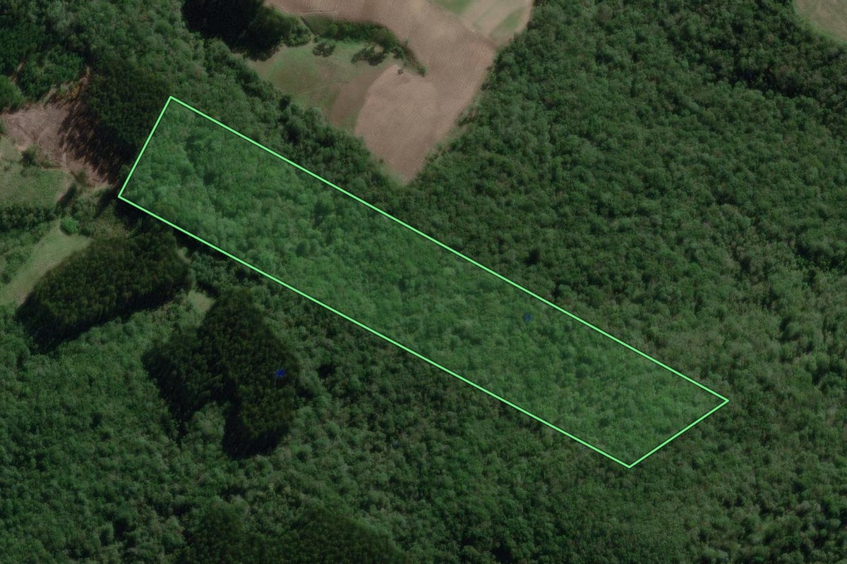 Imagem de satélite do imóvel rural em Canoinhas (SC), com o contorno declarado no CAR desenhado por cima.