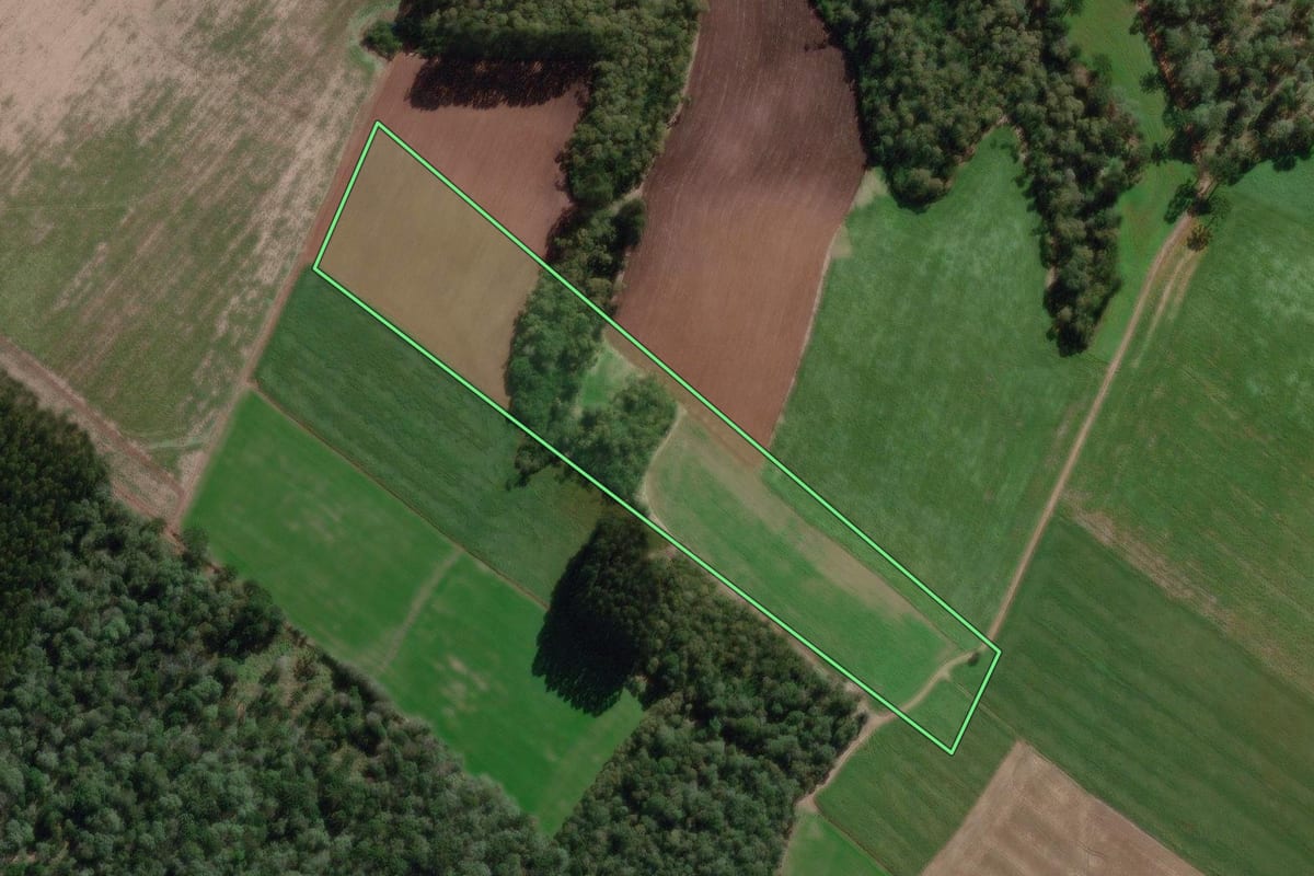 Imagem de satélite do imóvel rural em Canoinhas (SC), com o contorno declarado no CAR desenhado por cima.
