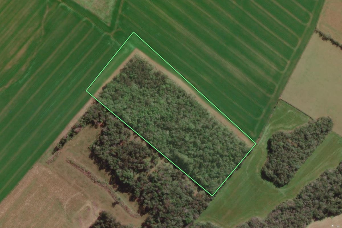 Imagem de satélite do imóvel rural em Canoinhas (SC), com o contorno declarado no CAR desenhado por cima.