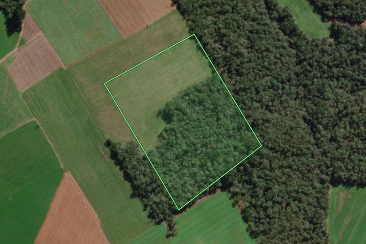 Imagem de satélite do imóvel rural em Canoinhas (SC), com o contorno declarado no CAR desenhado por cima.