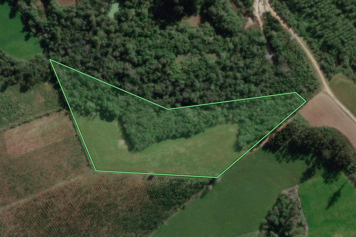 Imagem de satélite do imóvel rural em Canoinhas (SC), com o contorno declarado no CAR desenhado por cima.