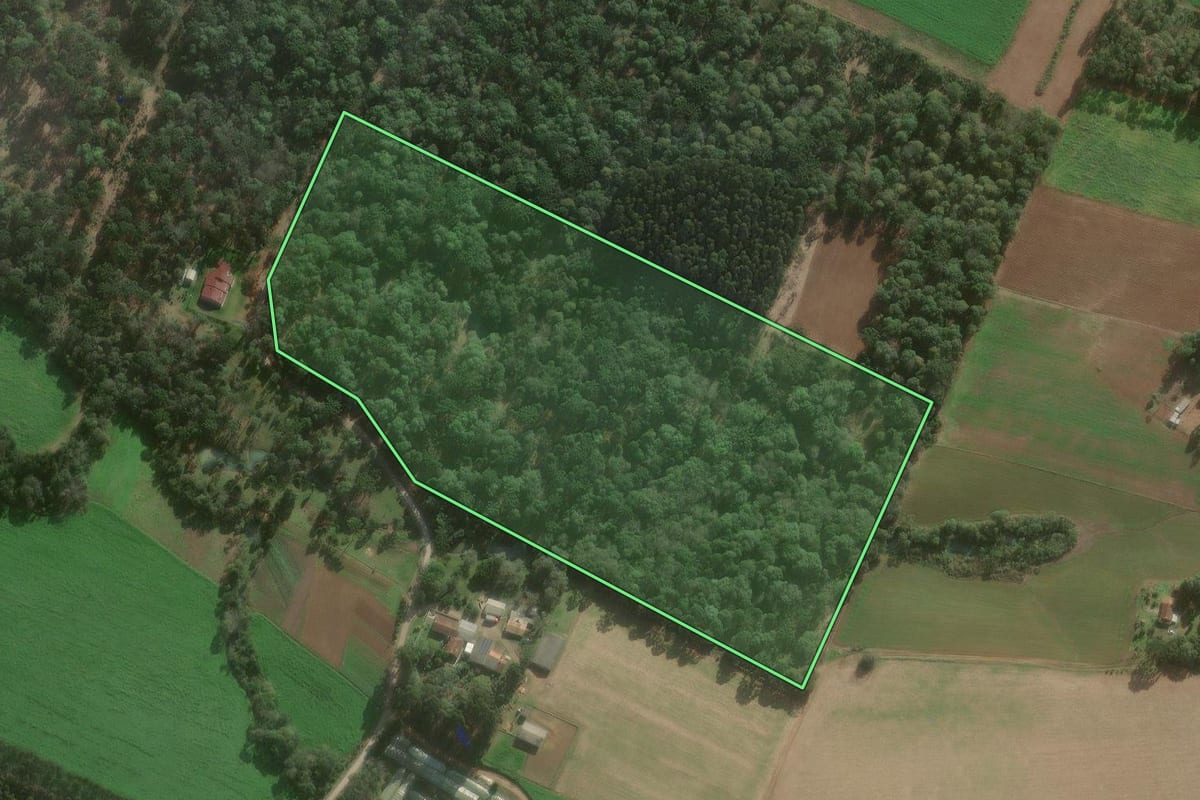 Imagem de satélite do imóvel rural em Canoinhas (SC), com o contorno declarado no CAR desenhado por cima.