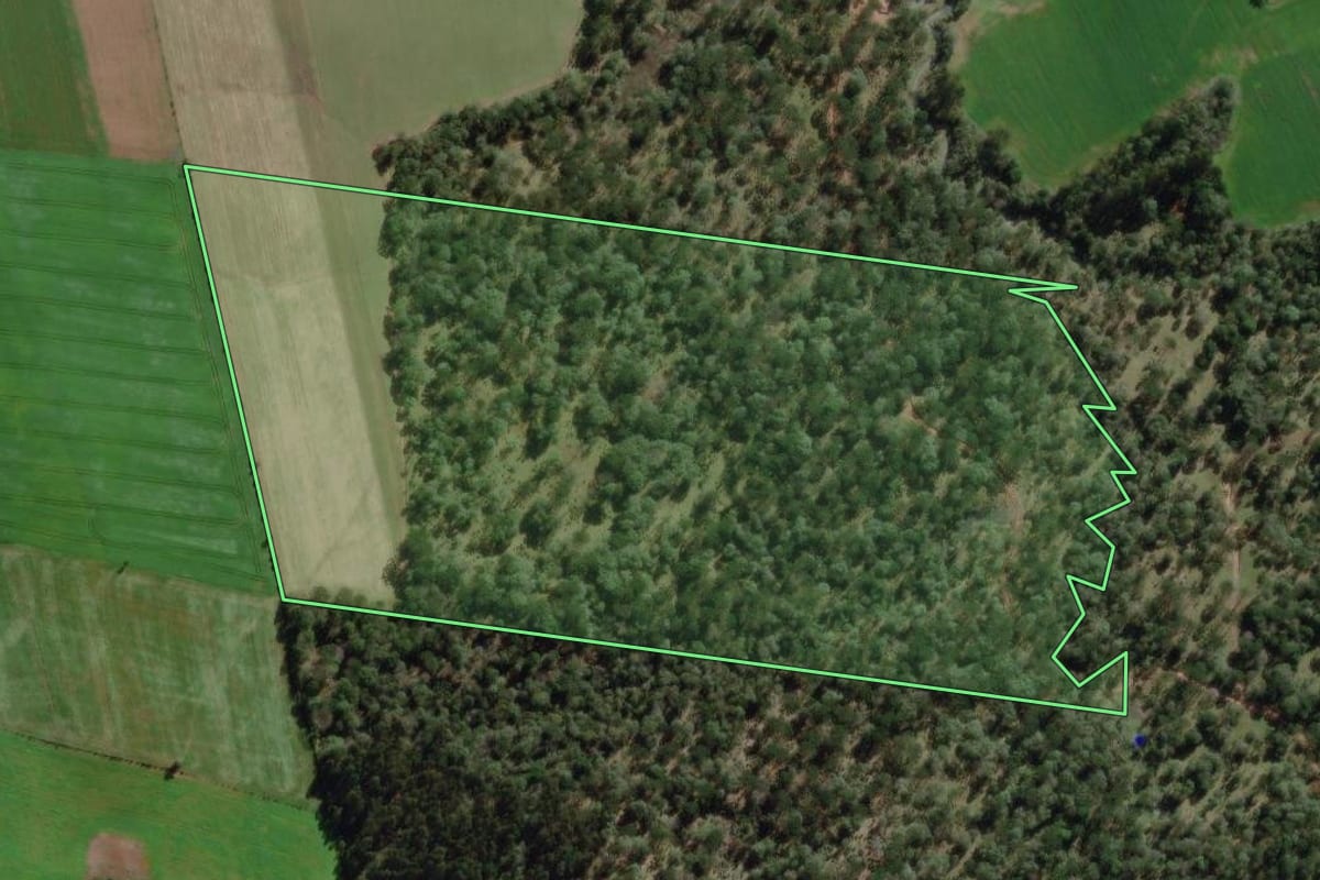 Imagem de satélite do imóvel rural em Canoinhas (SC), com o contorno declarado no CAR desenhado por cima.