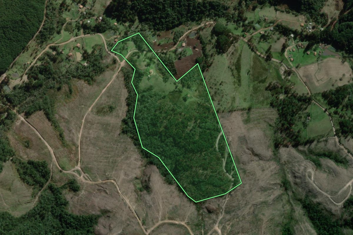 Imagem de satélite do imóvel rural em Canoinhas (SC), com o contorno declarado no CAR desenhado por cima.
