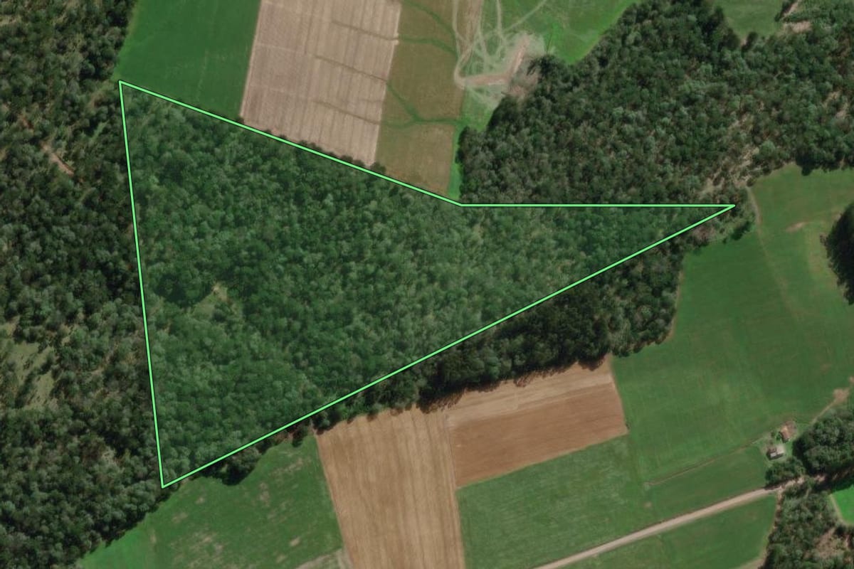 Imagem de satélite do imóvel rural em Canoinhas (SC), com o contorno declarado no CAR desenhado por cima.