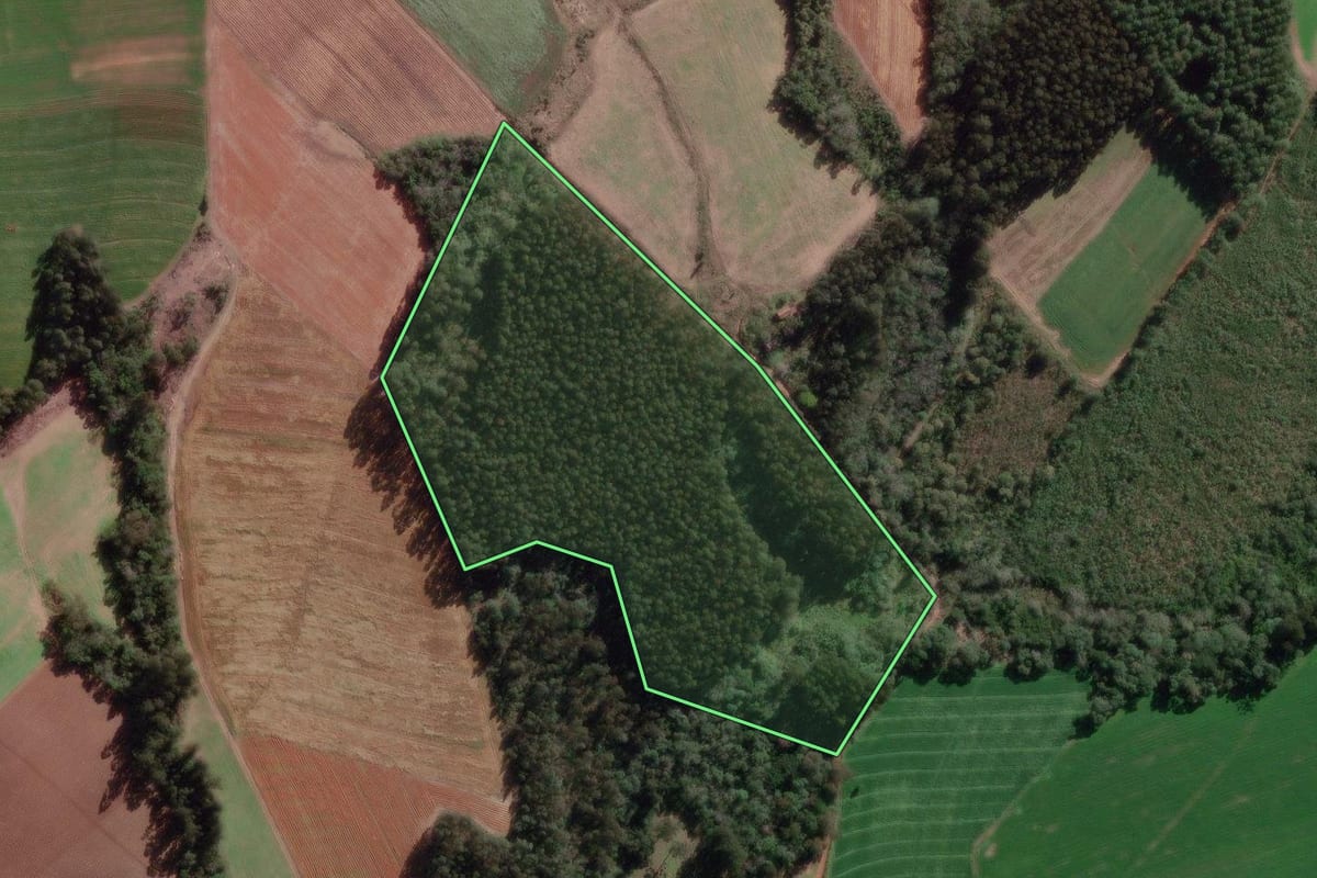 Imagem de satélite do imóvel rural em Canoinhas (SC), com o contorno declarado no CAR desenhado por cima.