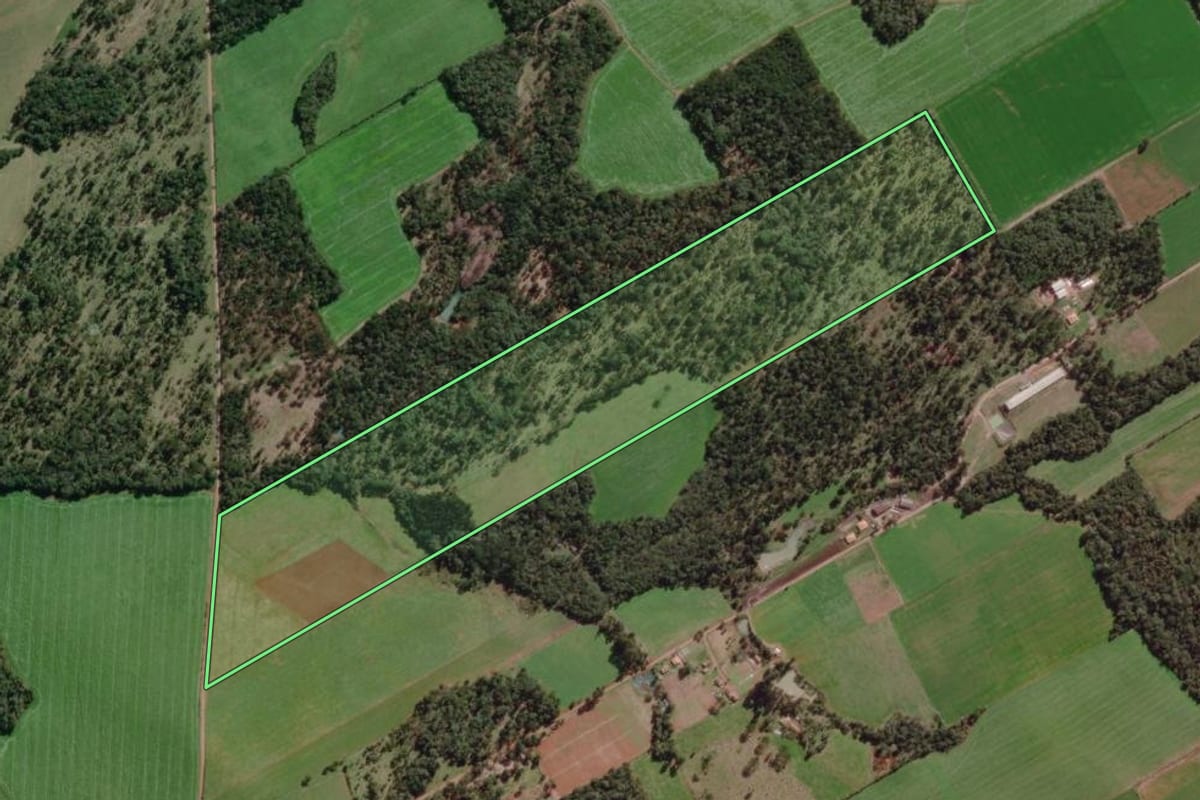 Imagem de satélite do imóvel rural em Canoinhas (SC), com o contorno declarado no CAR desenhado por cima.