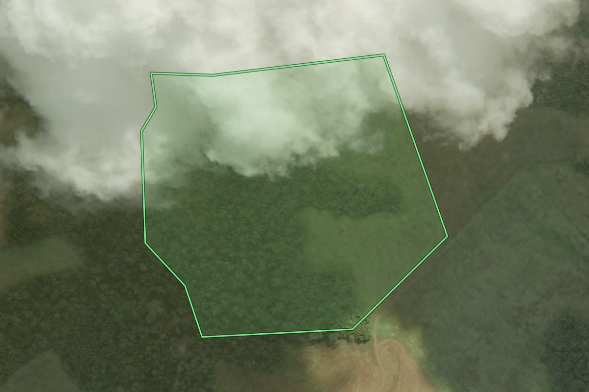 Imagem de satélite do imóvel rural em Canoinhas (SC), com o contorno declarado no CAR desenhado por cima.