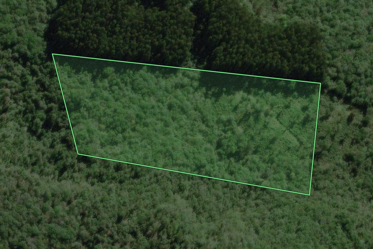 Imagem de satélite do imóvel rural em Canoinhas (SC), com o contorno declarado no CAR desenhado por cima.