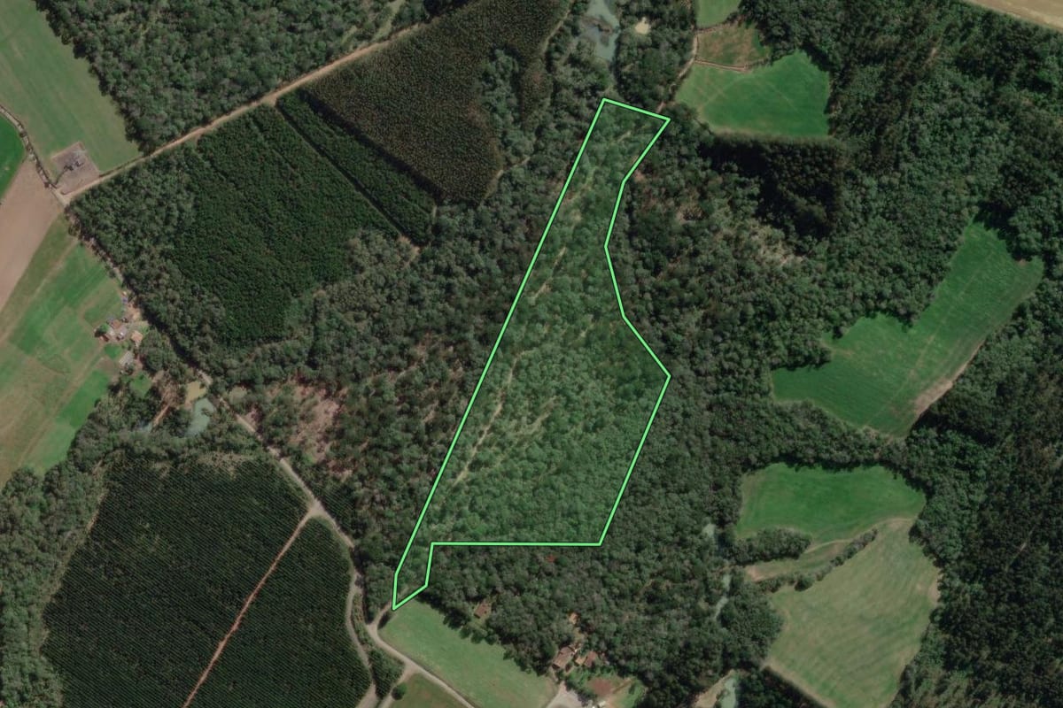 Imagem de satélite do imóvel rural em Canoinhas (SC), com o contorno declarado no CAR desenhado por cima.