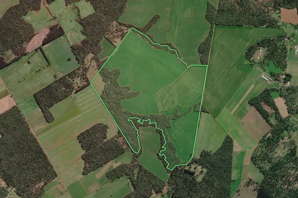 Imagem de satélite do imóvel rural em Canoinhas (SC), com o contorno declarado no CAR desenhado por cima.