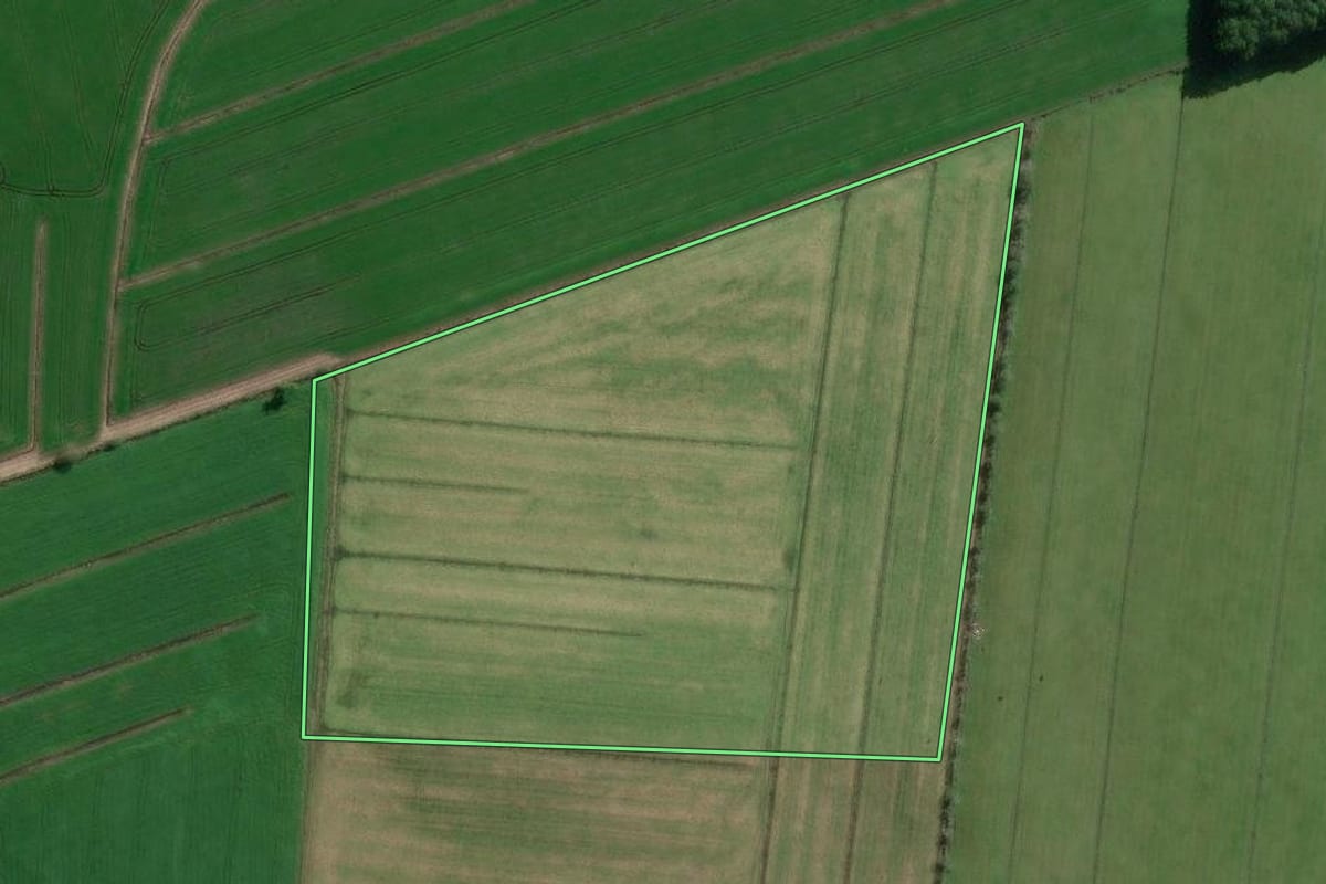 Imagem de satélite do imóvel rural em Canoinhas (SC), com o contorno declarado no CAR desenhado por cima.