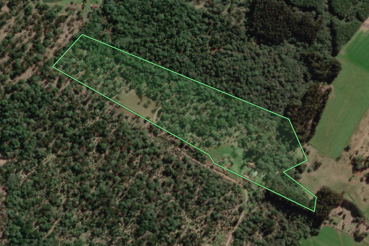 Imagem de satélite do imóvel rural em Canoinhas (SC), com o contorno declarado no CAR desenhado por cima.