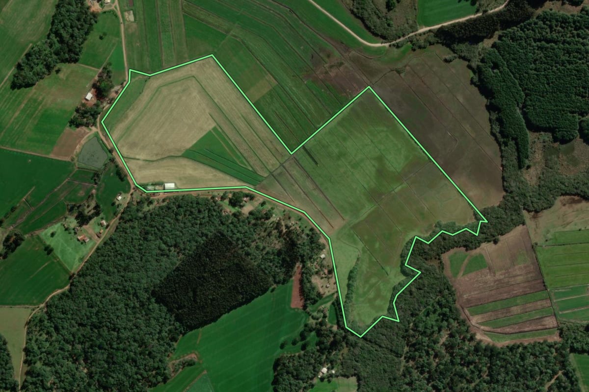 Imagem de satélite do imóvel rural em Canoinhas (SC), com o contorno declarado no CAR desenhado por cima.