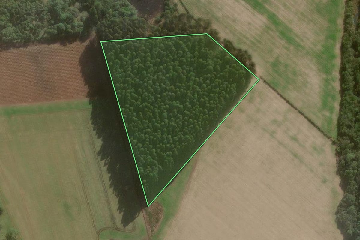 Imagem de satélite do imóvel rural em Canoinhas (SC), com o contorno declarado no CAR desenhado por cima.