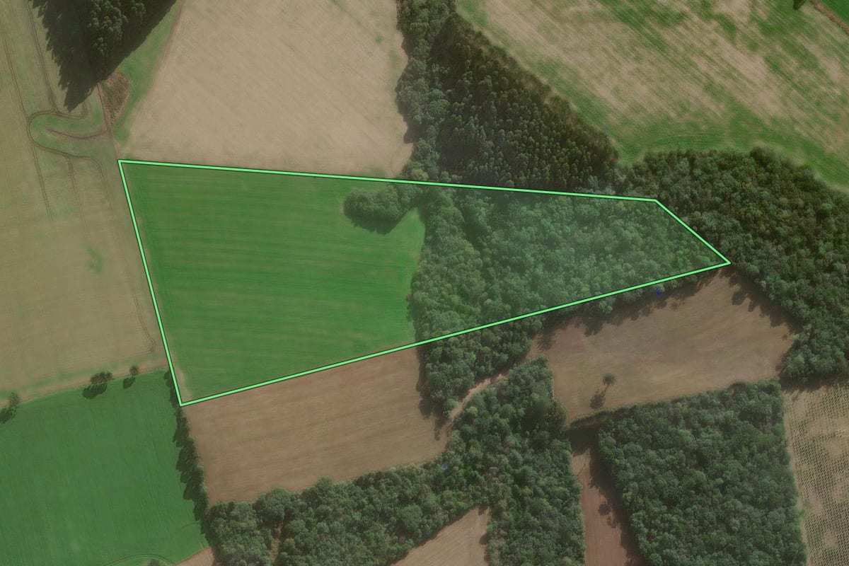 Imagem de satélite do imóvel rural em Canoinhas (SC), com o contorno declarado no CAR desenhado por cima.
