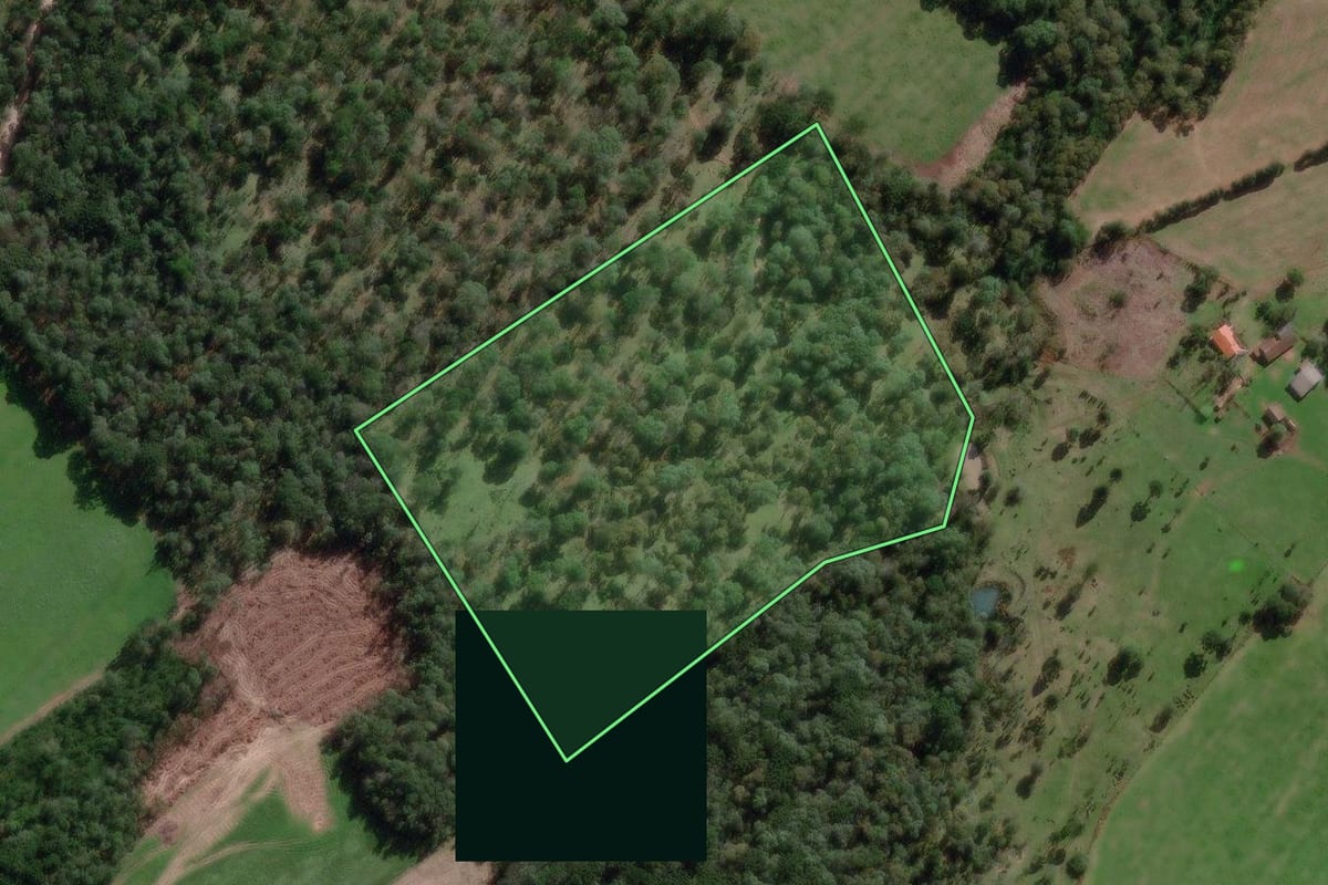 Imagem de satélite do imóvel rural em Canoinhas (SC), com o contorno declarado no CAR desenhado por cima.