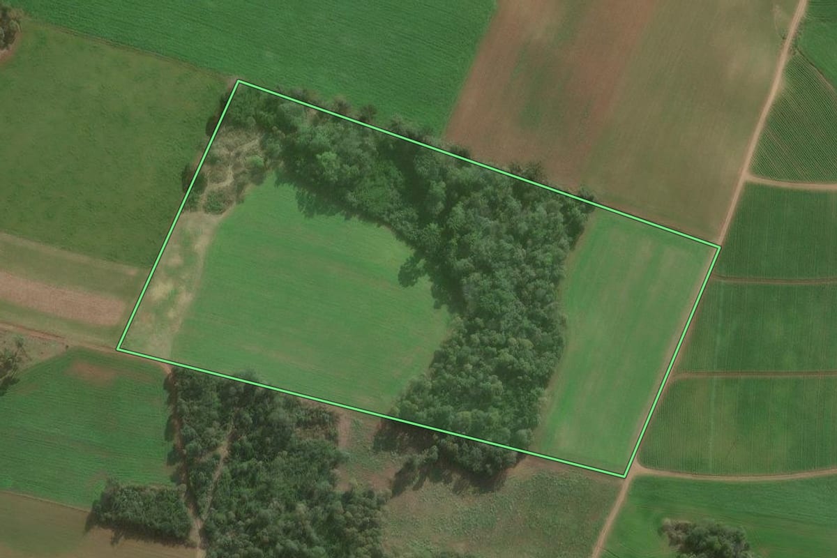 Imagem de satélite do imóvel rural em Canoinhas (SC), com o contorno declarado no CAR desenhado por cima.