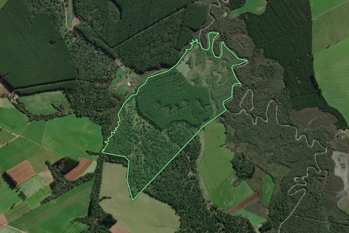 Imagem de satélite do imóvel rural em Canoinhas (SC), com o contorno declarado no CAR desenhado por cima.