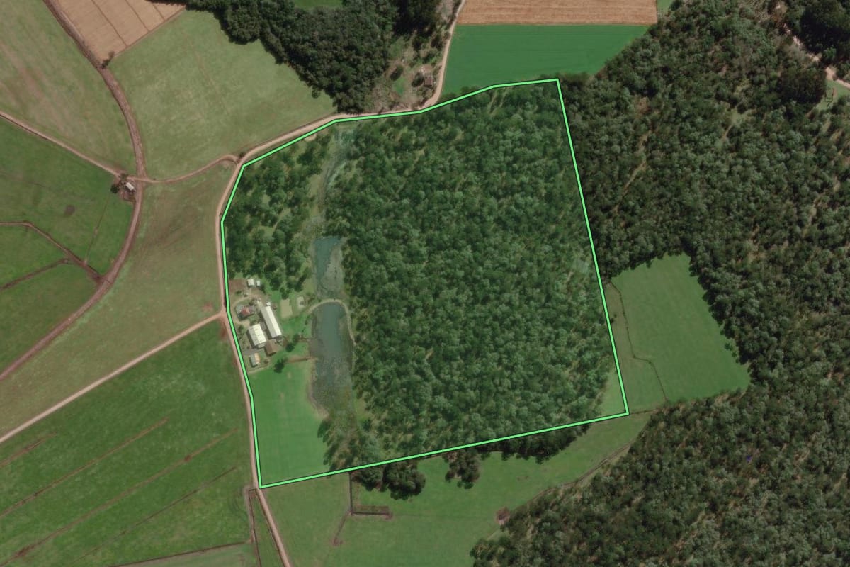 Imagem de satélite do imóvel rural em Canoinhas (SC), com o contorno declarado no CAR desenhado por cima.