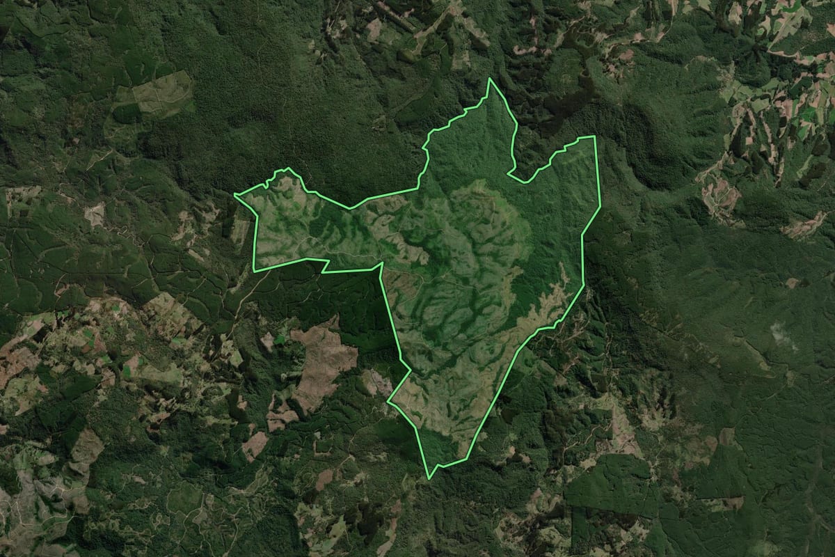 Imagem de satélite do imóvel rural em Canoinhas (SC), com o contorno declarado no CAR desenhado por cima.