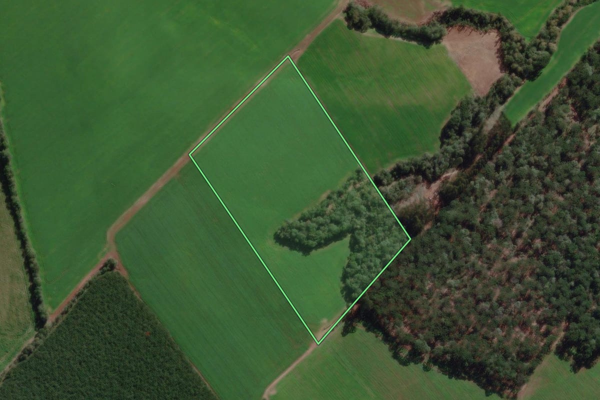 Imagem de satélite do imóvel rural em Canoinhas (SC), com o contorno declarado no CAR desenhado por cima.