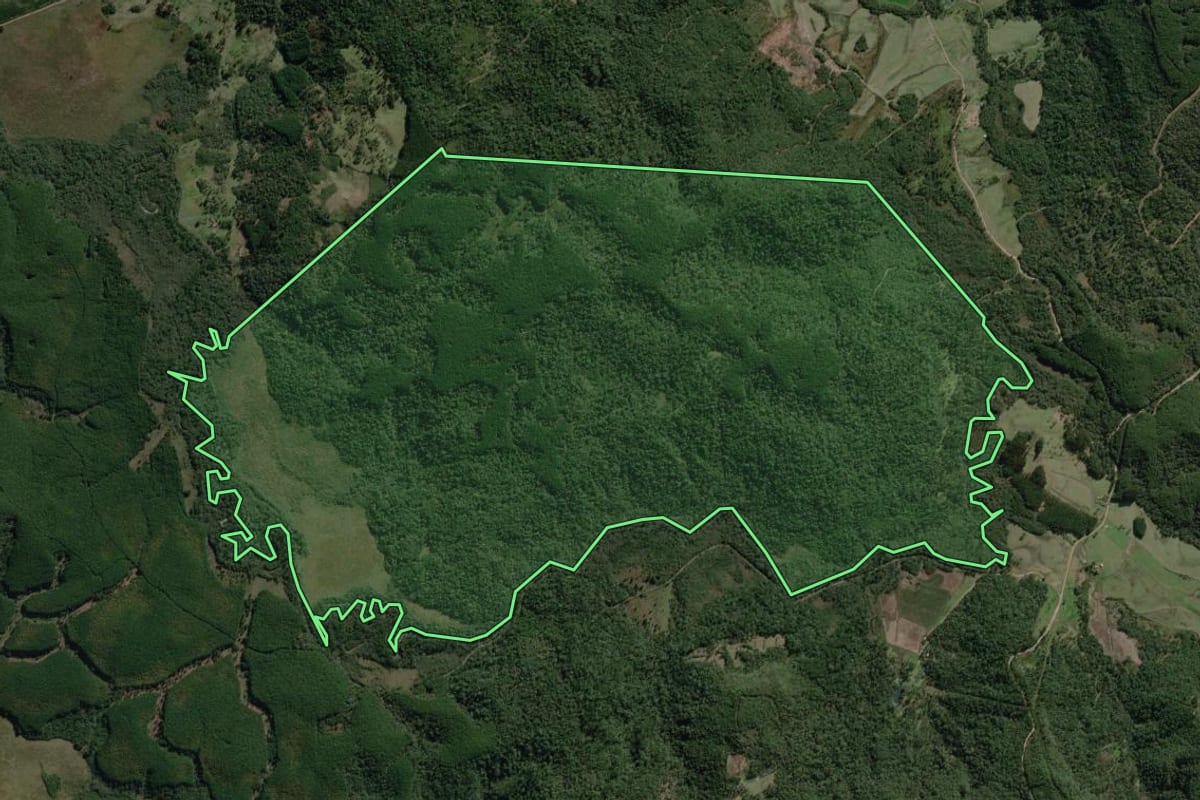 Imagem de satélite do imóvel rural em Canoinhas (SC), com o contorno declarado no CAR desenhado por cima.