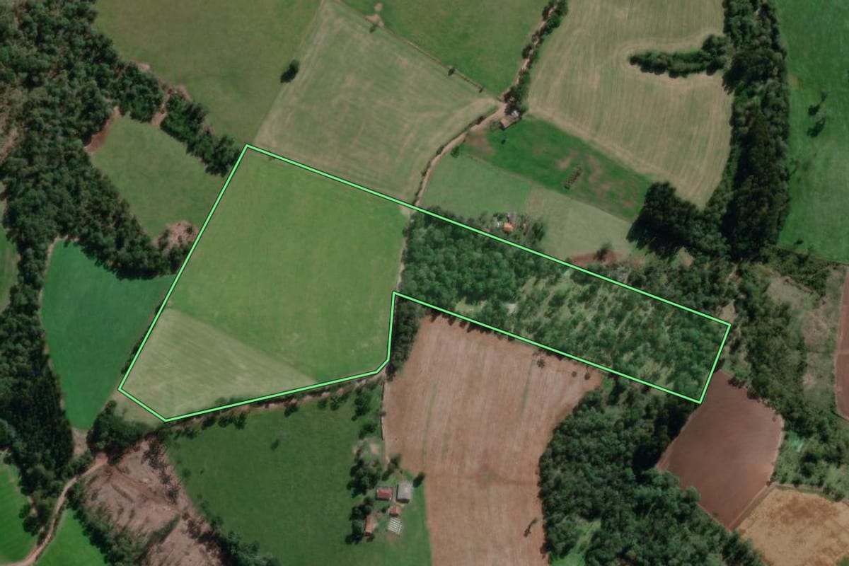 Imagem de satélite do imóvel rural em Canoinhas (SC), com o contorno declarado no CAR desenhado por cima.