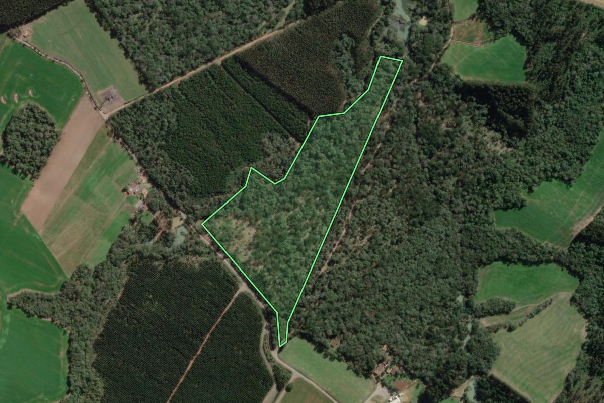 Imagem de satélite do imóvel rural em Canoinhas (SC), com o contorno declarado no CAR desenhado por cima.