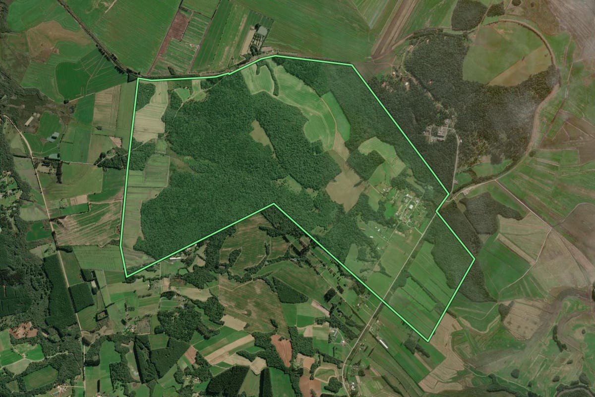 Imagem de satélite do imóvel rural em Canoinhas (SC), com o contorno declarado no CAR desenhado por cima.