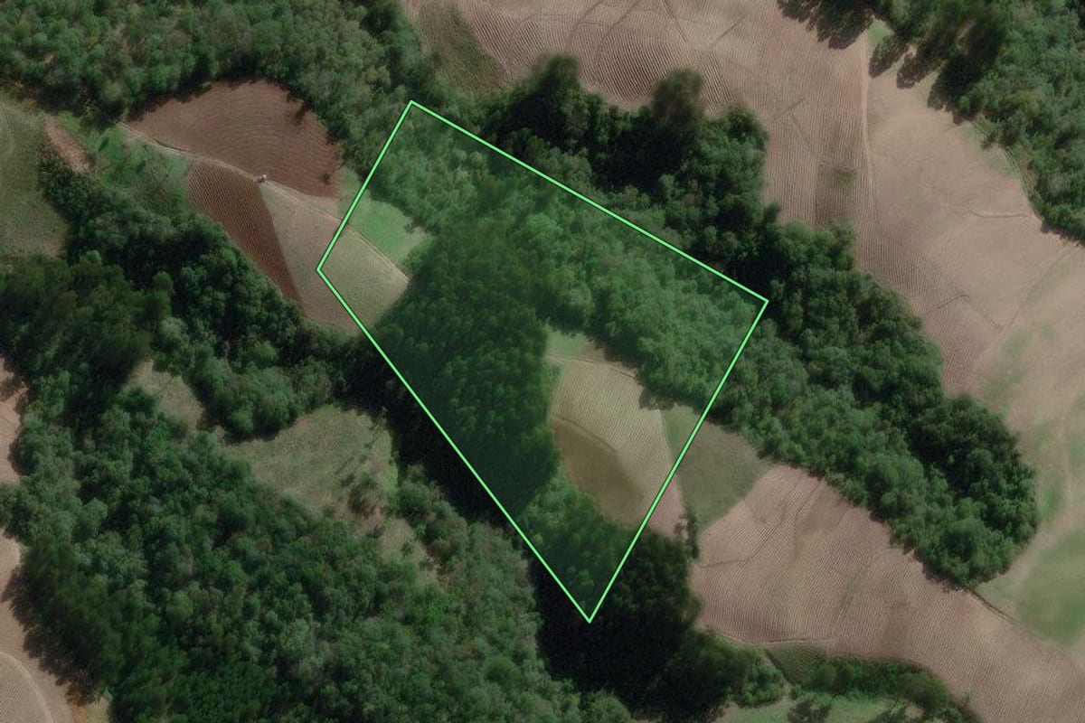 Imagem de satélite do imóvel rural em Canoinhas (SC), com o contorno declarado no CAR desenhado por cima.