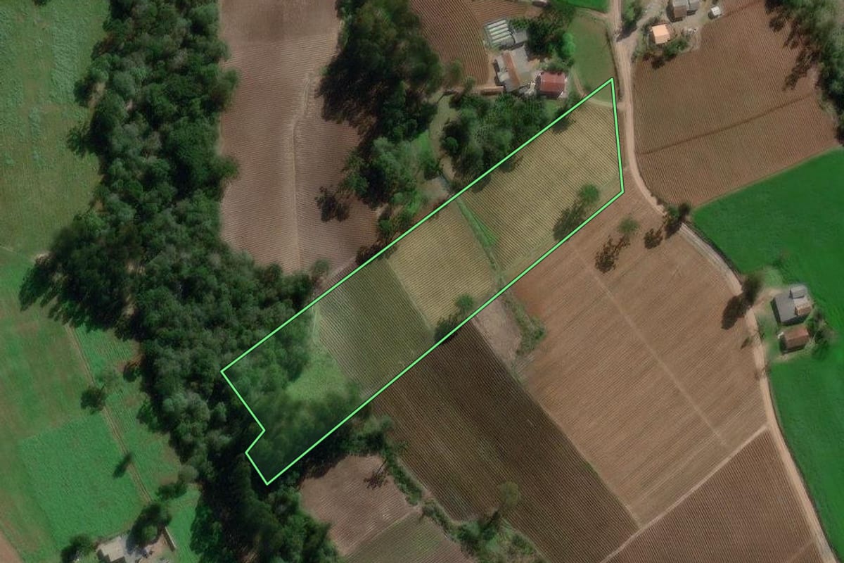 Imagem de satélite do imóvel rural em Canoinhas (SC), com o contorno declarado no CAR desenhado por cima.