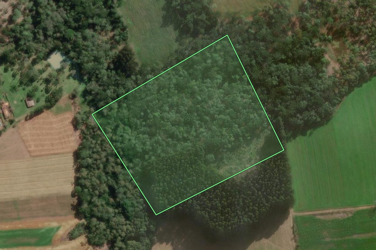Imagem de satélite do imóvel rural em Canoinhas (SC), com o contorno declarado no CAR desenhado por cima.