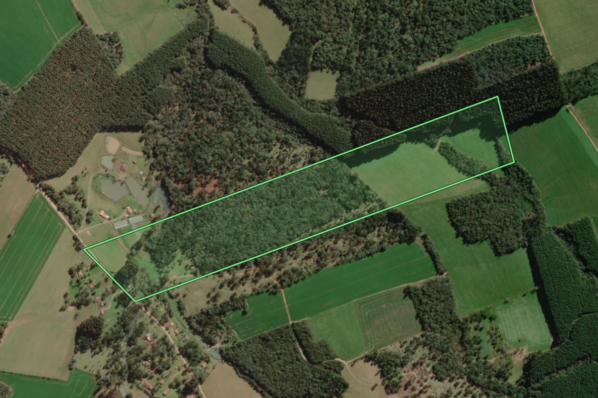 Imagem de satélite do imóvel rural em Canoinhas (SC), com o contorno declarado no CAR desenhado por cima.