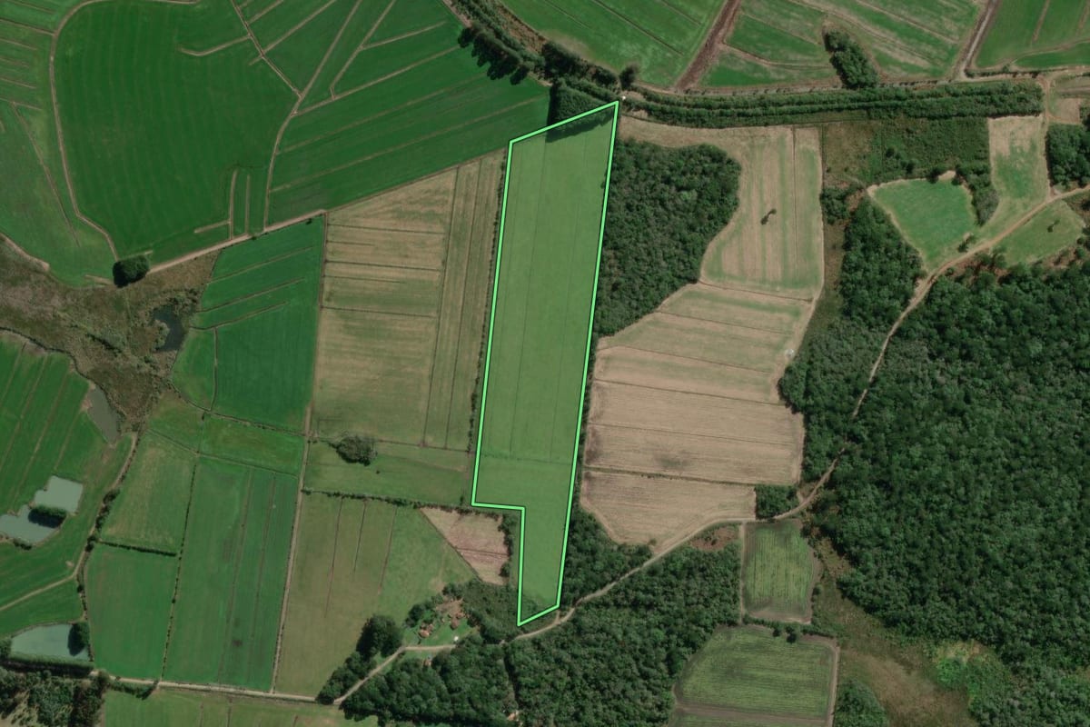 Imagem de satélite do imóvel rural em Canoinhas (SC), com o contorno declarado no CAR desenhado por cima.