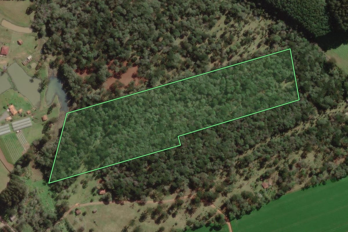 Imagem de satélite do imóvel rural em Canoinhas (SC), com o contorno declarado no CAR desenhado por cima.