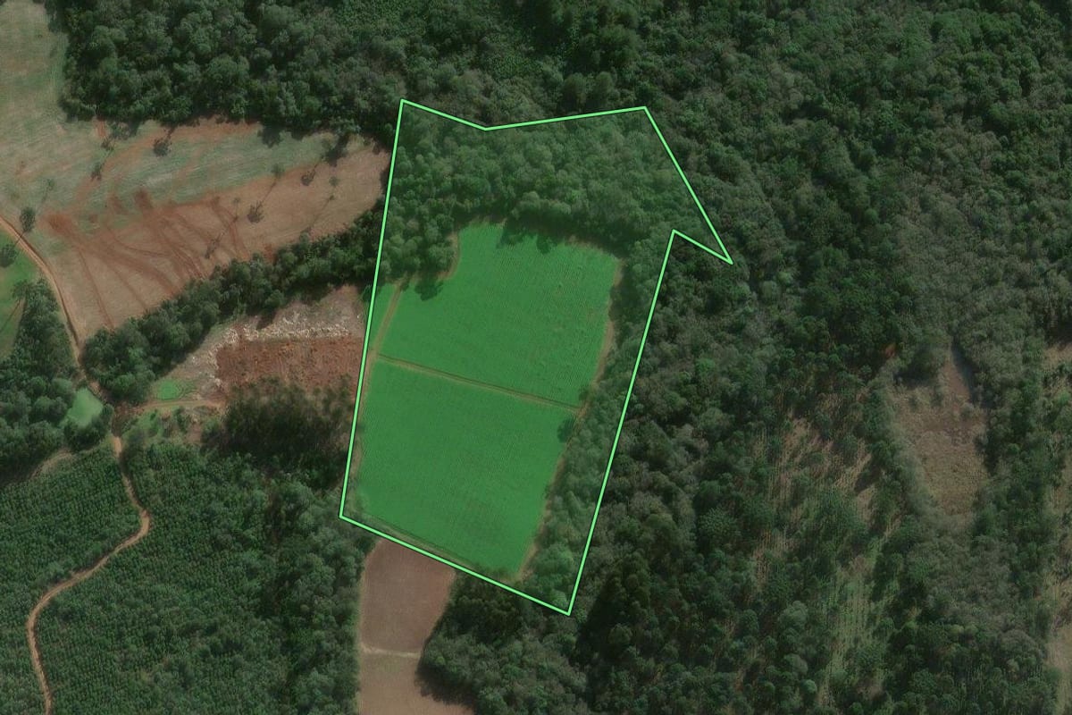 Imagem de satélite do imóvel rural em Canoinhas (SC), com o contorno declarado no CAR desenhado por cima.