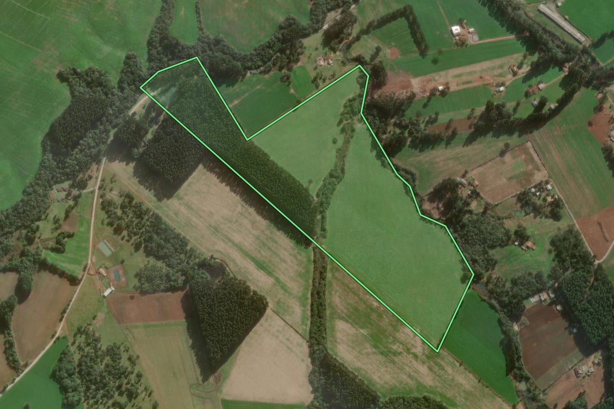 Imagem de satélite do imóvel rural em Canoinhas (SC), com o contorno declarado no CAR desenhado por cima.