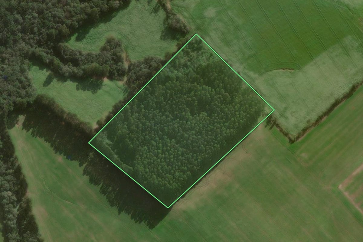 Imagem de satélite do imóvel rural em Canoinhas (SC), com o contorno declarado no CAR desenhado por cima.