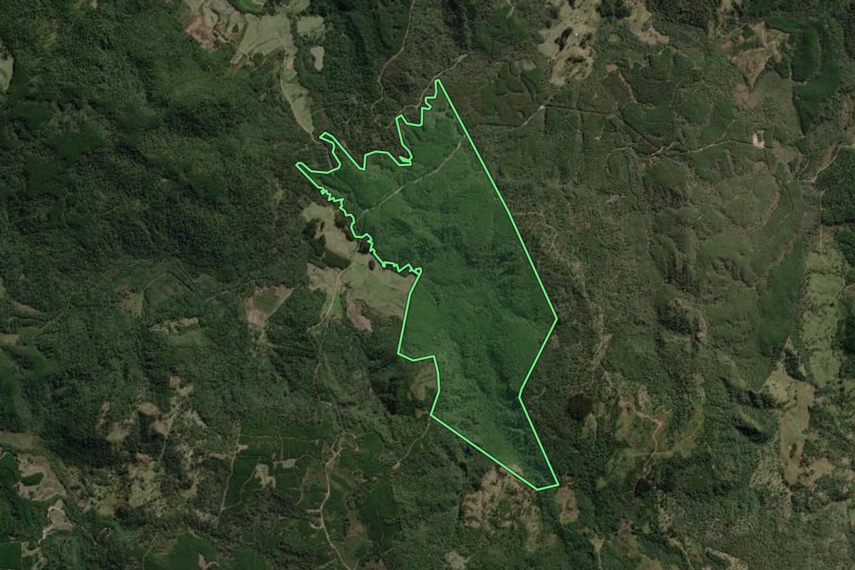 Imagem de satélite do imóvel rural em Canoinhas (SC), com o contorno declarado no CAR desenhado por cima.