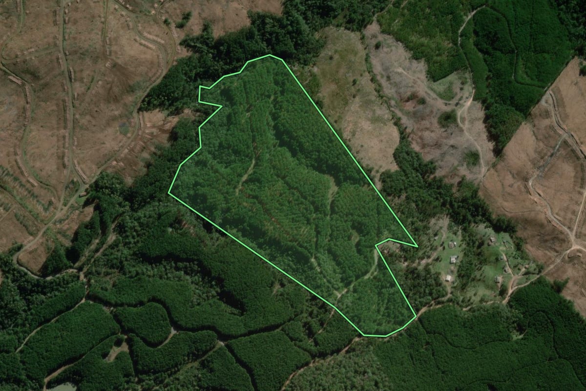 Imagem de satélite do imóvel rural em Canoinhas (SC), com o contorno declarado no CAR desenhado por cima.