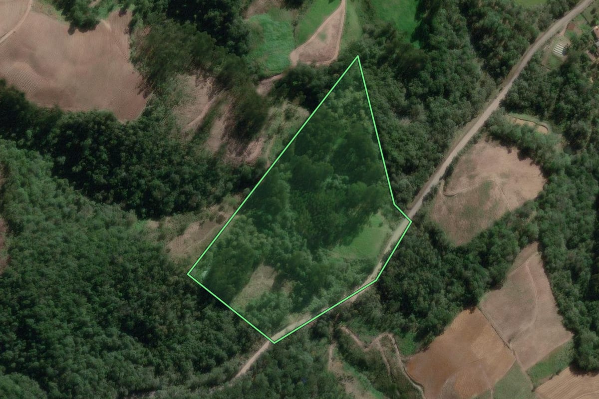 Imagem de satélite do imóvel rural em Canoinhas (SC), com o contorno declarado no CAR desenhado por cima.