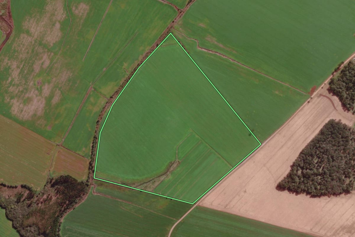 Imagem de satélite do imóvel rural em Canoinhas (SC), com o contorno declarado no CAR desenhado por cima.