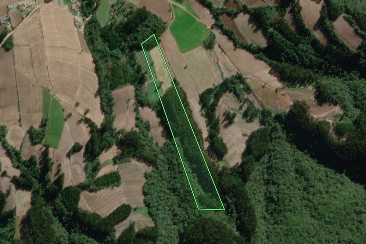 Imagem de satélite do imóvel rural em Canoinhas (SC), com o contorno declarado no CAR desenhado por cima.