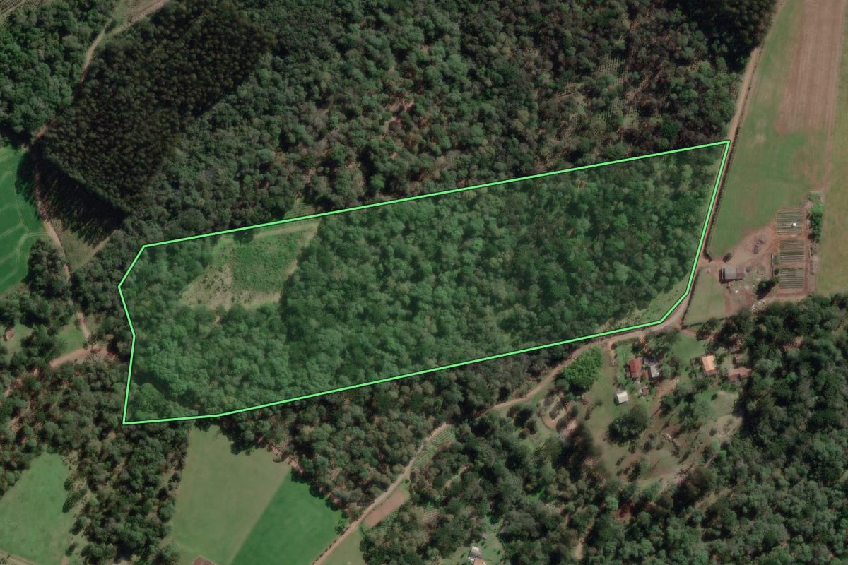 Imagem de satélite do imóvel rural em Canoinhas (SC), com o contorno declarado no CAR desenhado por cima.